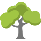 Acworth Tree Removal