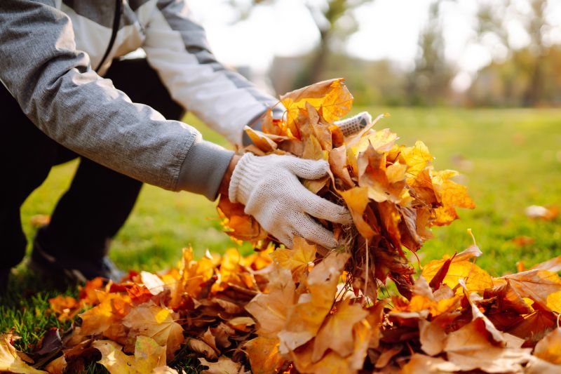 Leaves Blown into Piles