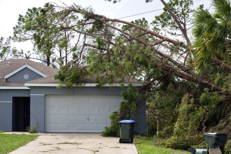 Fallen Tree on Residential Property