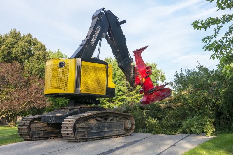 Equipment Used for Tree Removal