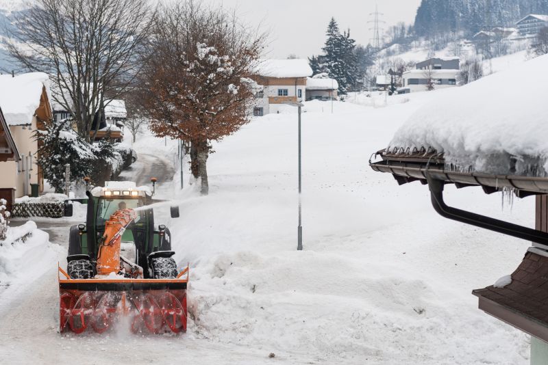 Tree Removal in Snowy Conditions